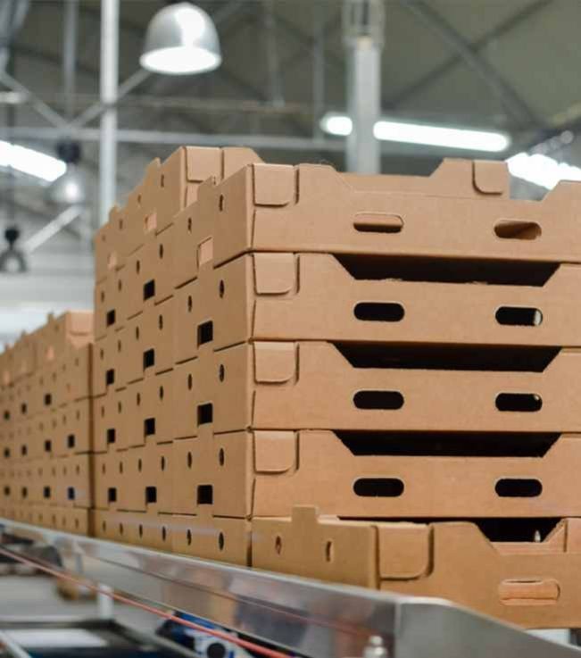 Corrugated Packaging Boxes supplier in India - Santosh Polymers