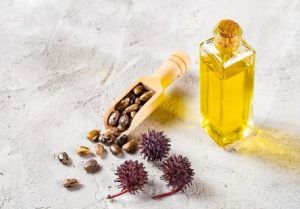 Poultry Feed Oil manufacturer India - Santosh Polymers