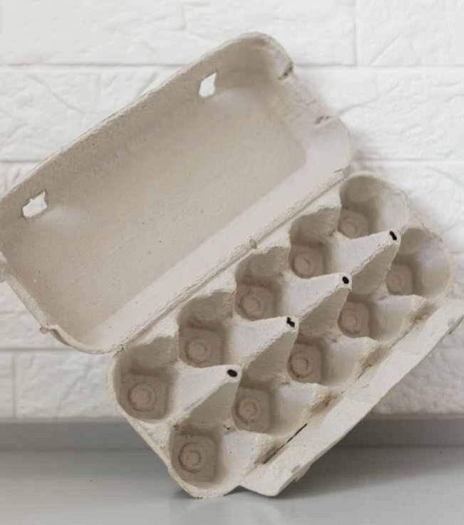 Pulp Moulded Trays supplier in India - Santosh Polymers