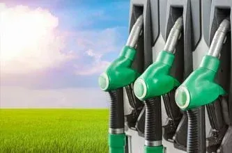 Biodiesel Industry